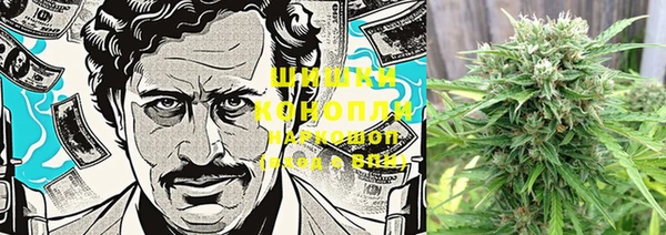 спайс Лабытнанги