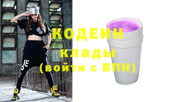 шишки Ладушкин