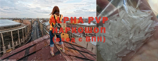 шишки Ладушкин