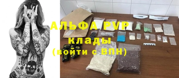 PSILOCYBIN Кулебаки
