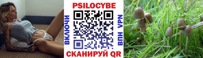 Псилоцибиновые грибы мухоморы Купить закладки Долинск