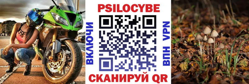 Псилоцибиновые грибы прущие грибы Долинск